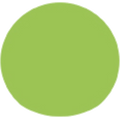Matcha Jp